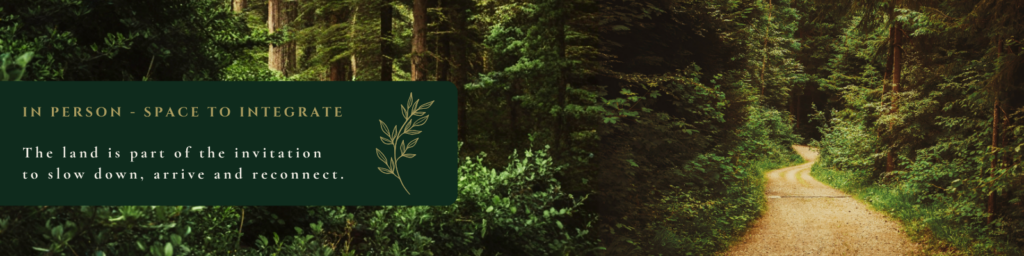 tjh banner 1