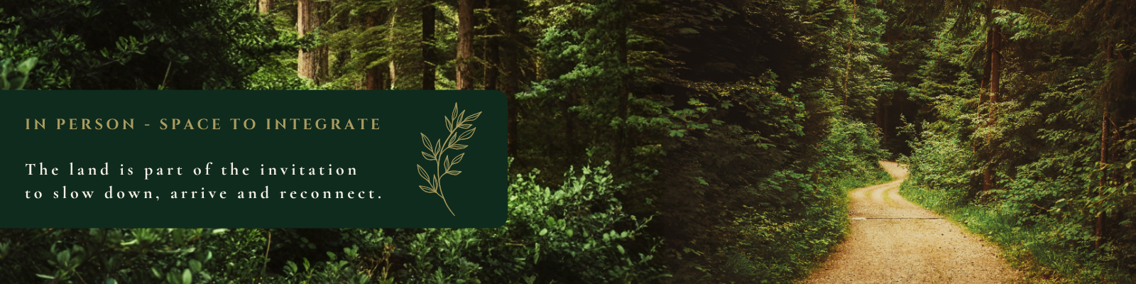 tjh banner 1